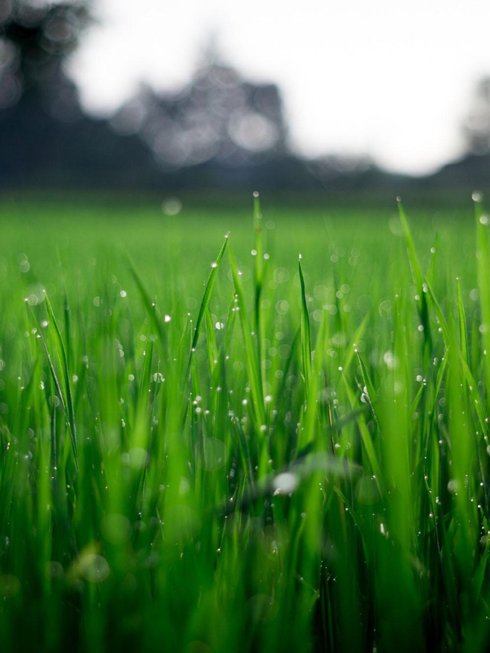 Ultra-Premium Quick & Thick Sun to Shade Mix